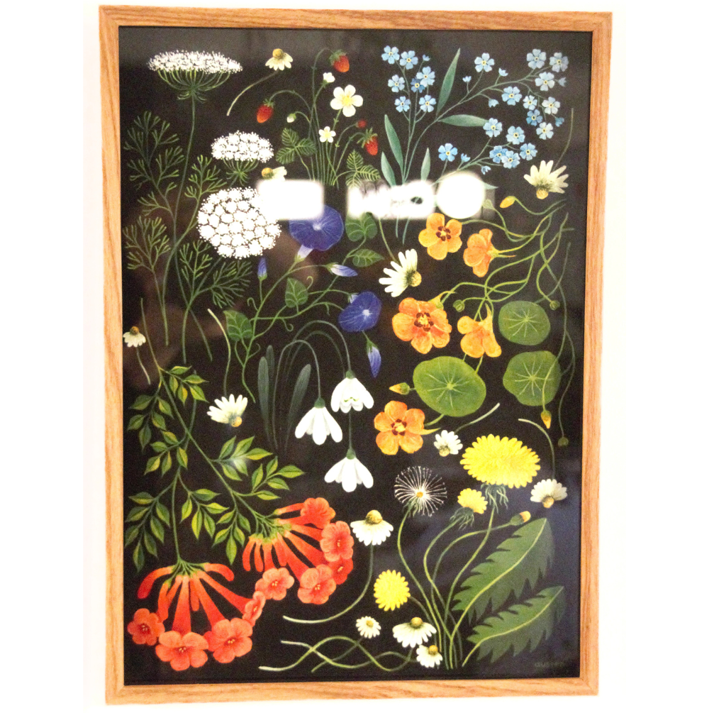 Wildflower – Austen Gordon
