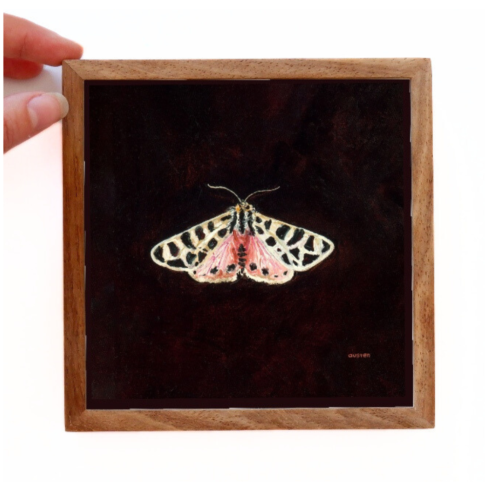 Moth (Pink) – Austen Gordon