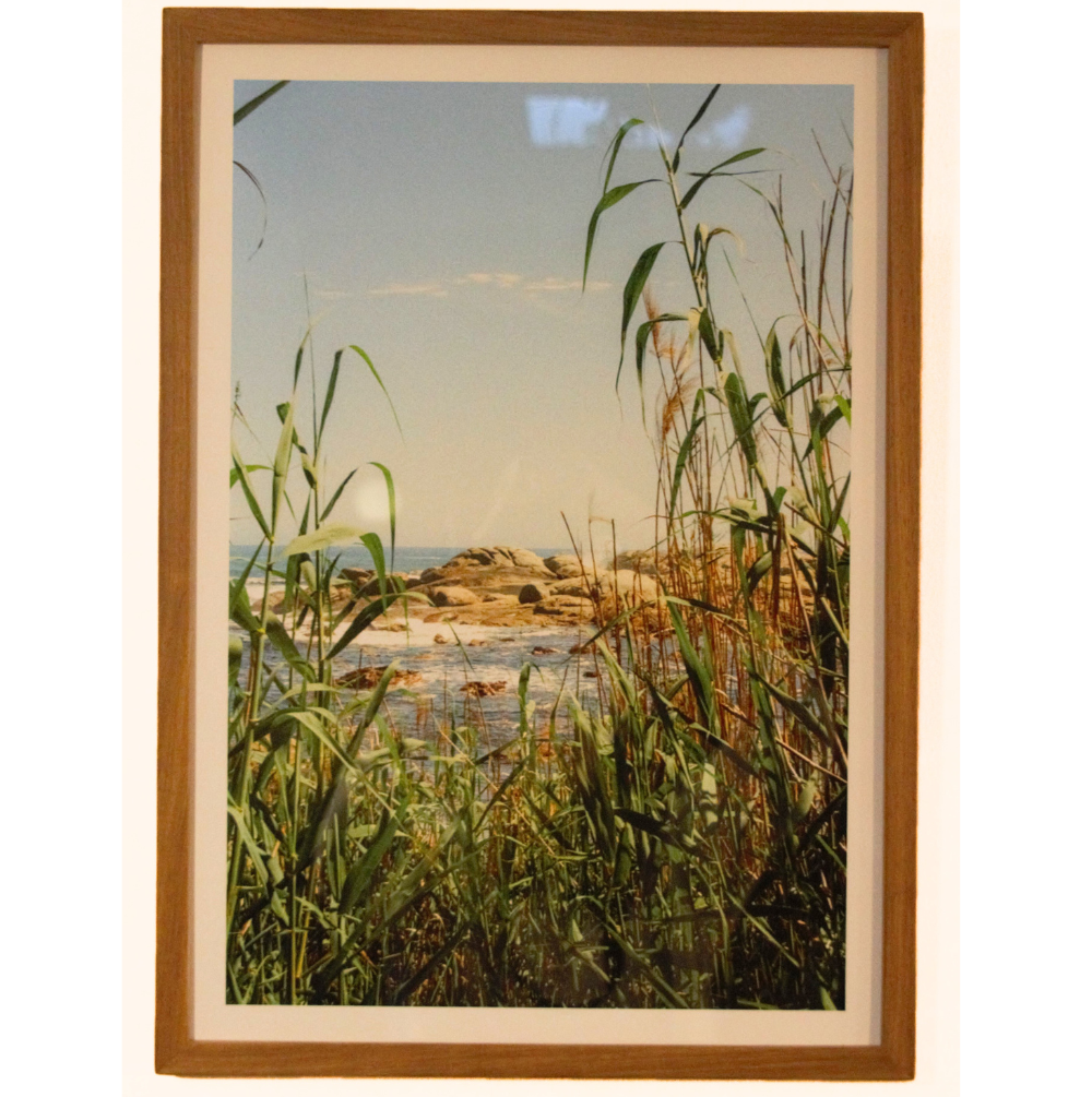 Barley Beach – Jeremy Taylor